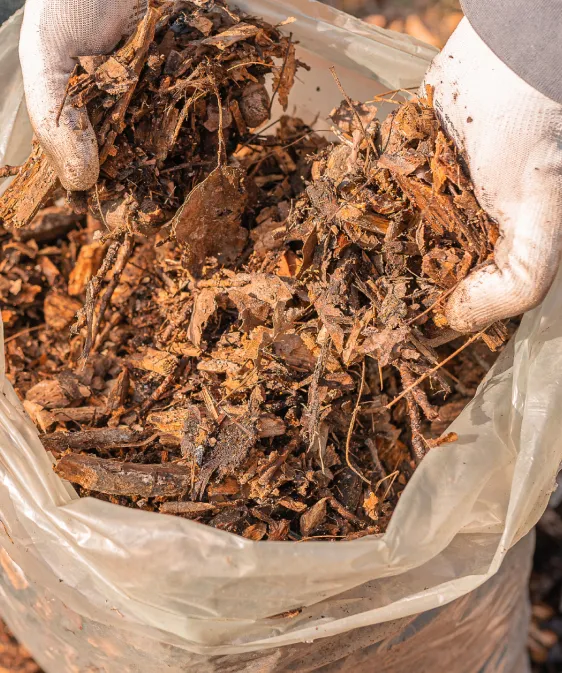 Forestry Mulching Slider