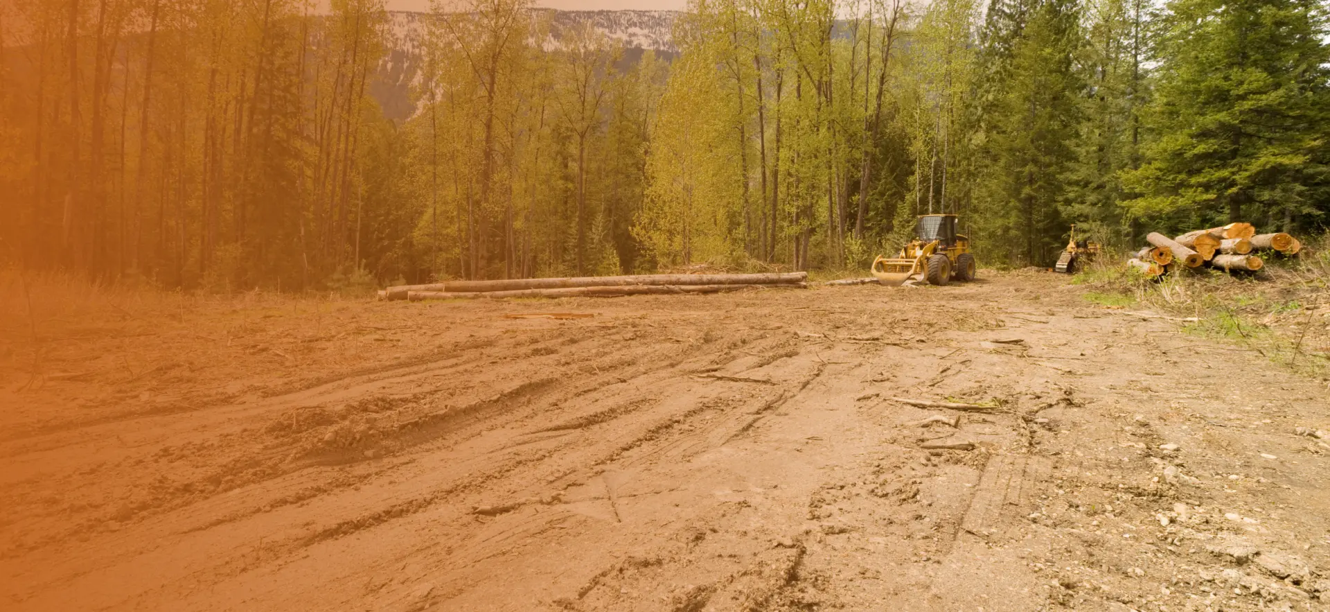 Reinerts Earthworks Hero